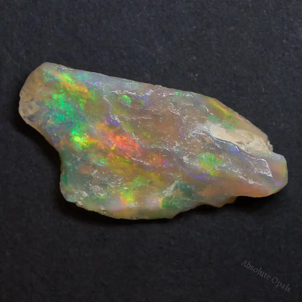 Rough Opal Lightning Ridge Polished Specimen Plant Fossil
