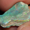 7.81 Cts Australian Opal Rough Lightning Ridge Wood Fossil Polished Specimen