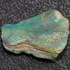7.81 Cts Australian Opal Rough Lightning Ridge Wood Fossil Polished Specimen
