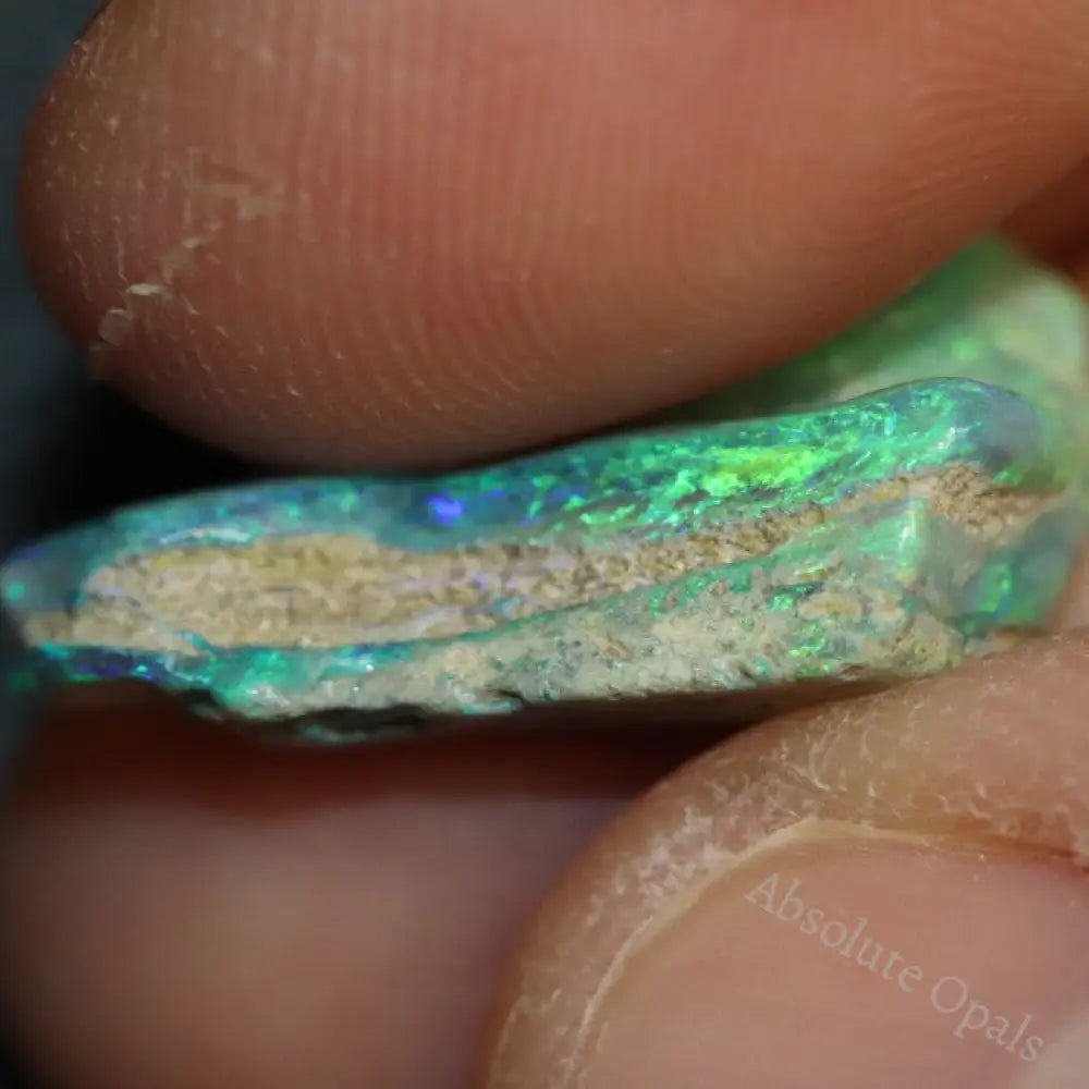 7.81 Cts Australian Opal Rough Lightning Ridge Wood Fossil Polished Specimen