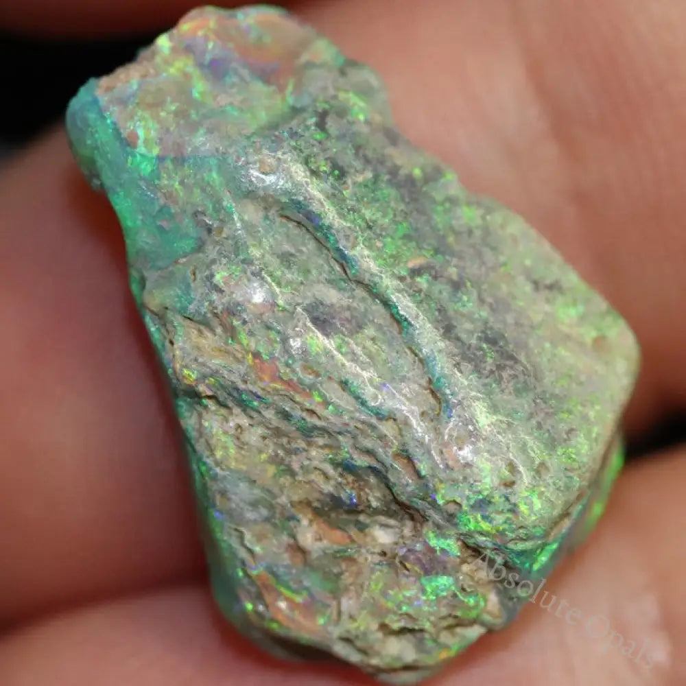7.81 Cts Australian Opal Rough Lightning Ridge Wood Fossil Polished Specimen