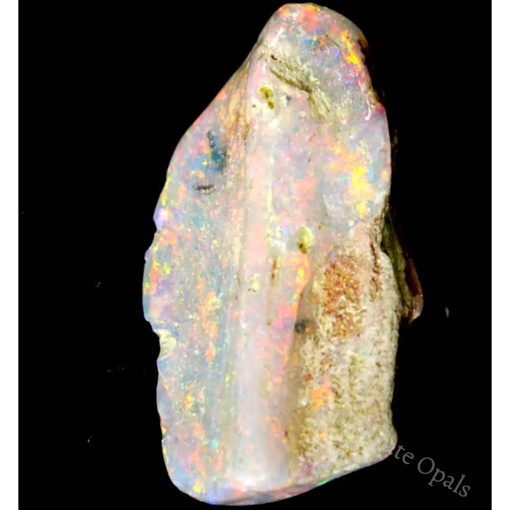 7.85 Cts Single Opal Rough Specimen Wood Fossil 23.1X13.3X5.4Mm