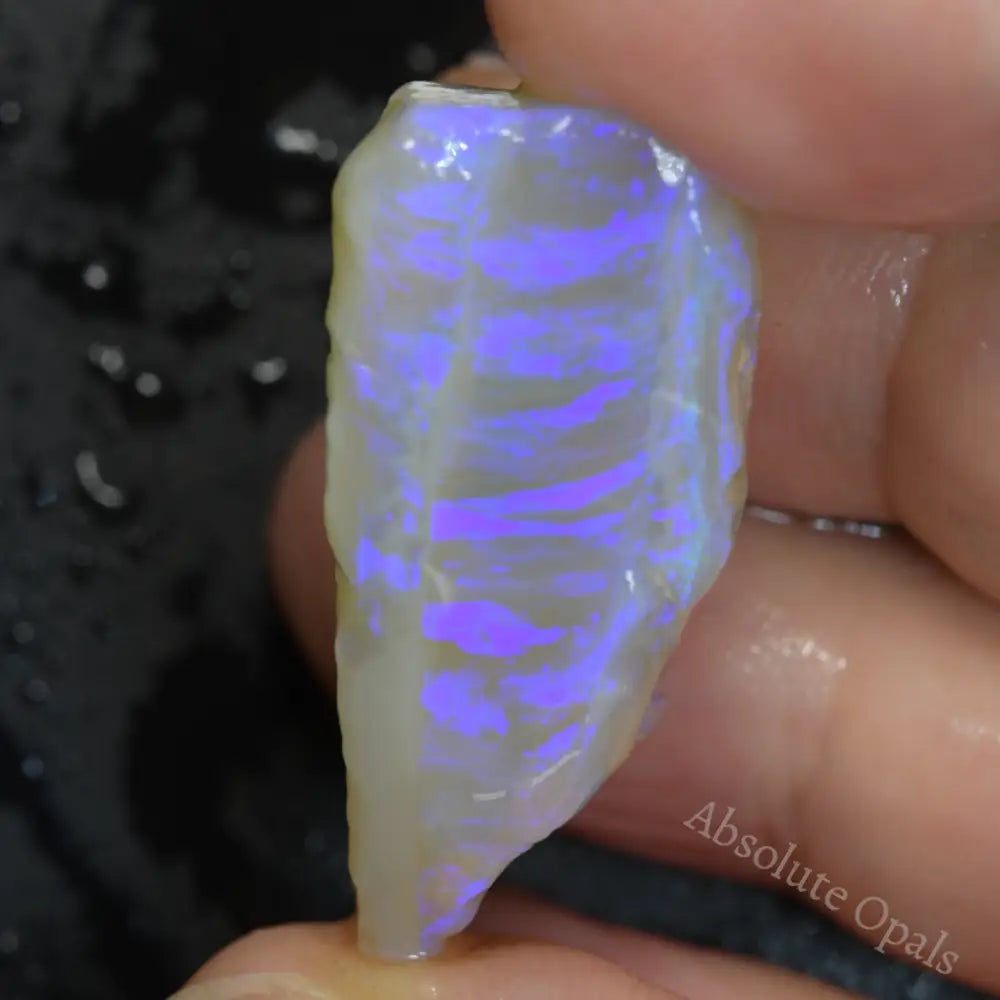 Lightning Ridge Rough Rough Opal - Absolute Opals & Gems
