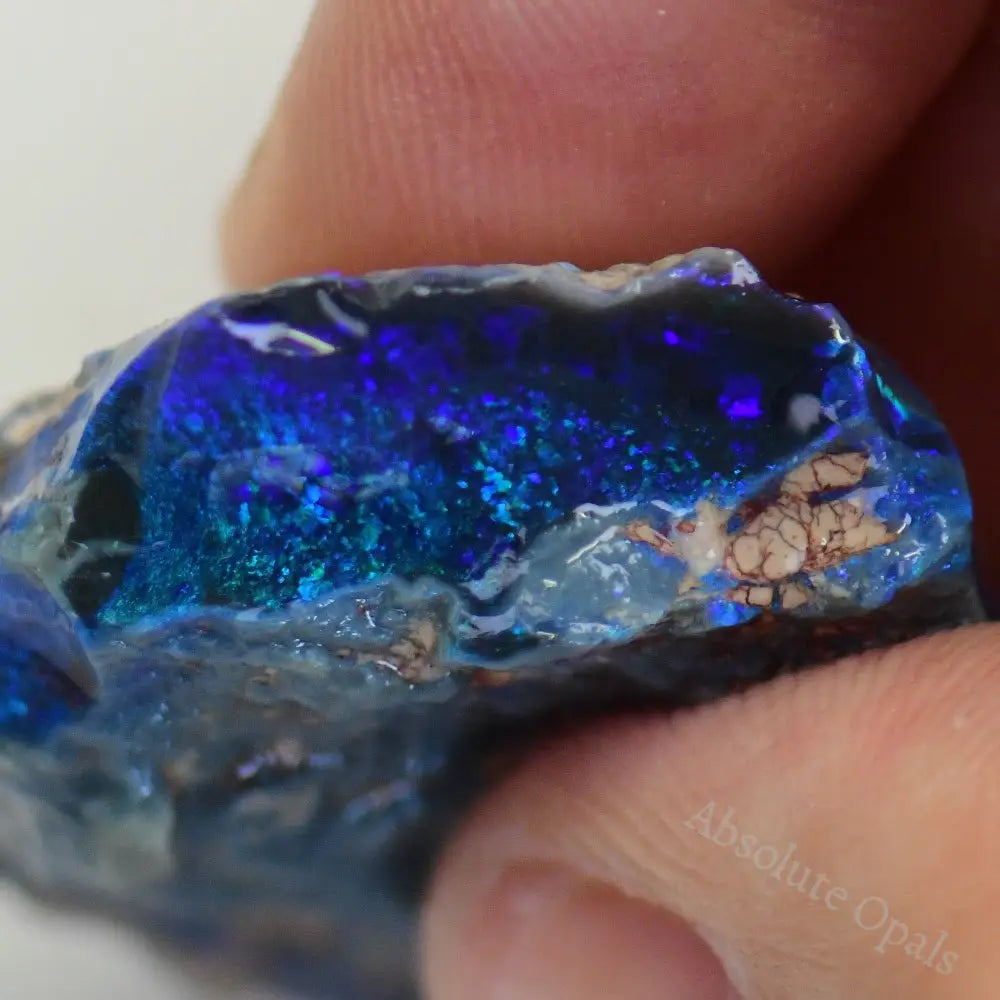 cts Australian Rough Black Opal Lightning Ridge Absolute