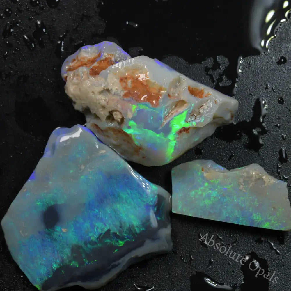 Rough Opal Absolute Opals Gems