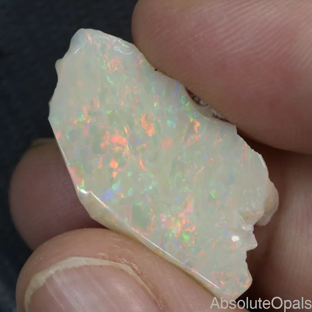 cts Australian Opal Rough Lightning Ridge Specimen Absolute