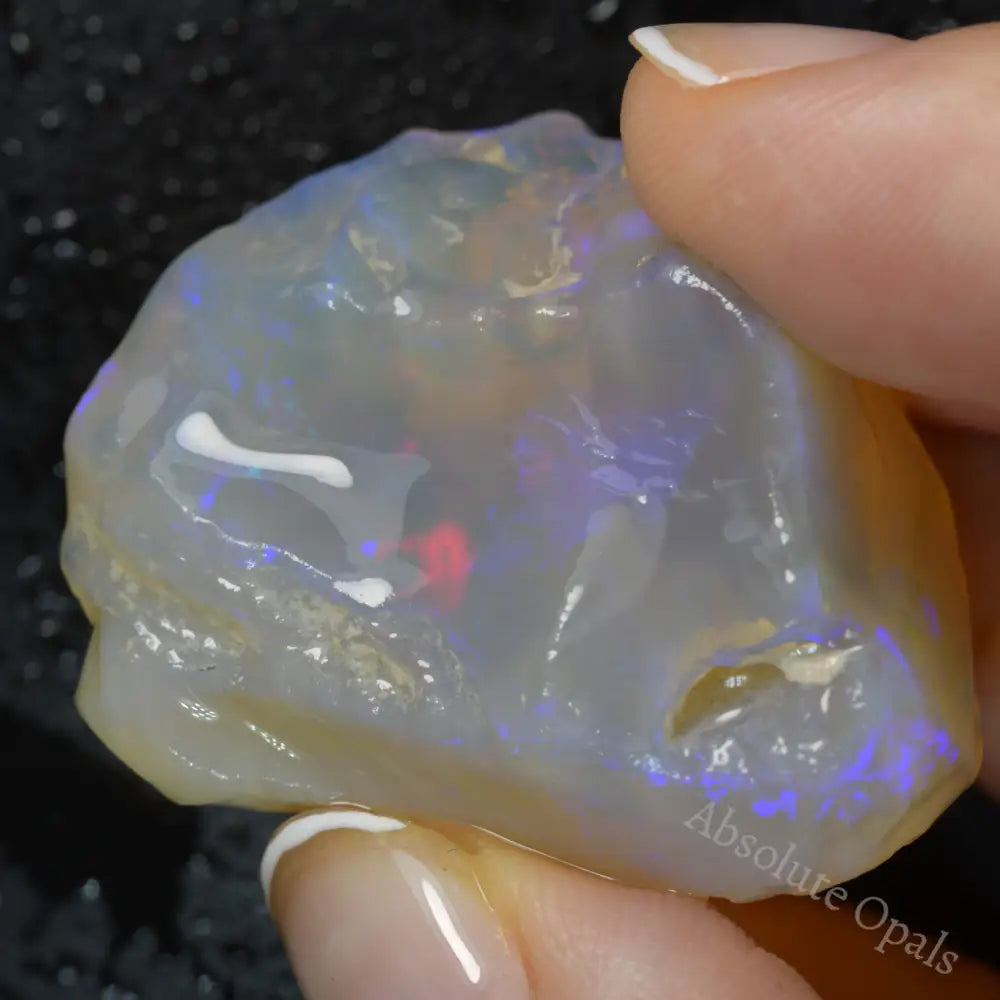 Lightning Ridge Rough Opals 80 cts Australian Rough Opal Lightning Ridge - Absolute Opals & Gems