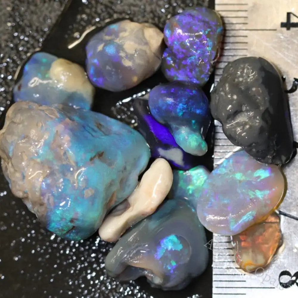 81.85 Cts Australian Solid Black Opal Rough Nobby Lightning Ridge Parcel