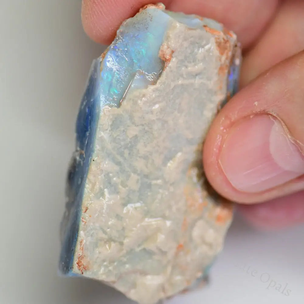 Lightning Ridge Rough Opals 88 cts Australian Rough Opal Lightning Ridge - Absolute Opals & Gems