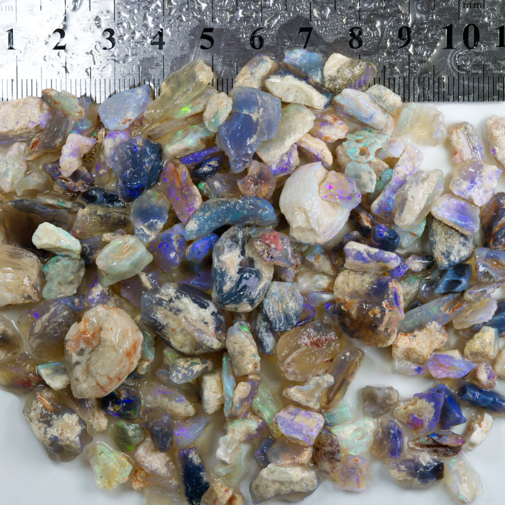loose fossils opal