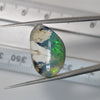 11.5cts  Opal Rough Lightning Ridge Polished Specimen