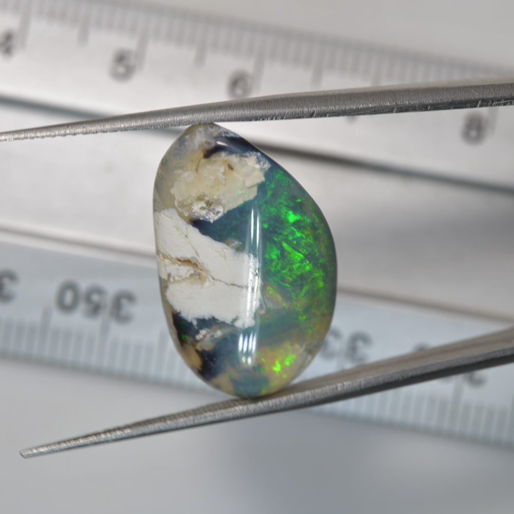 11.5cts  Opal Rough Lightning Ridge Polished Specimen