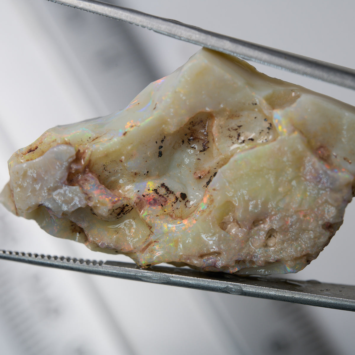 opal