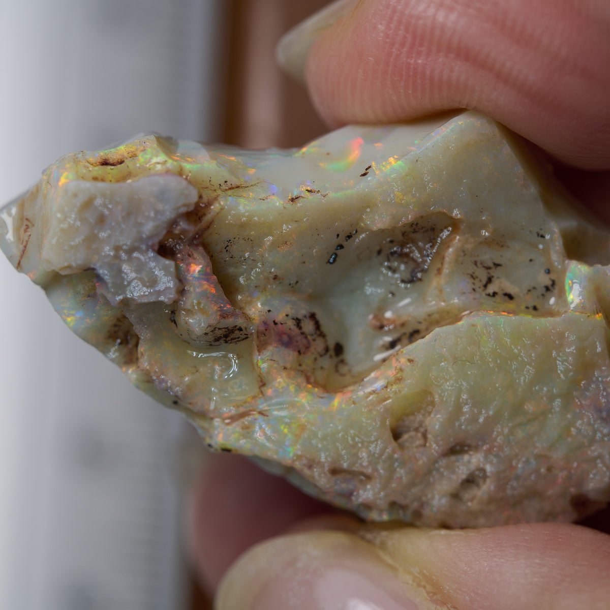34.3 cts Rough Opal Lightning Ridge for Carving