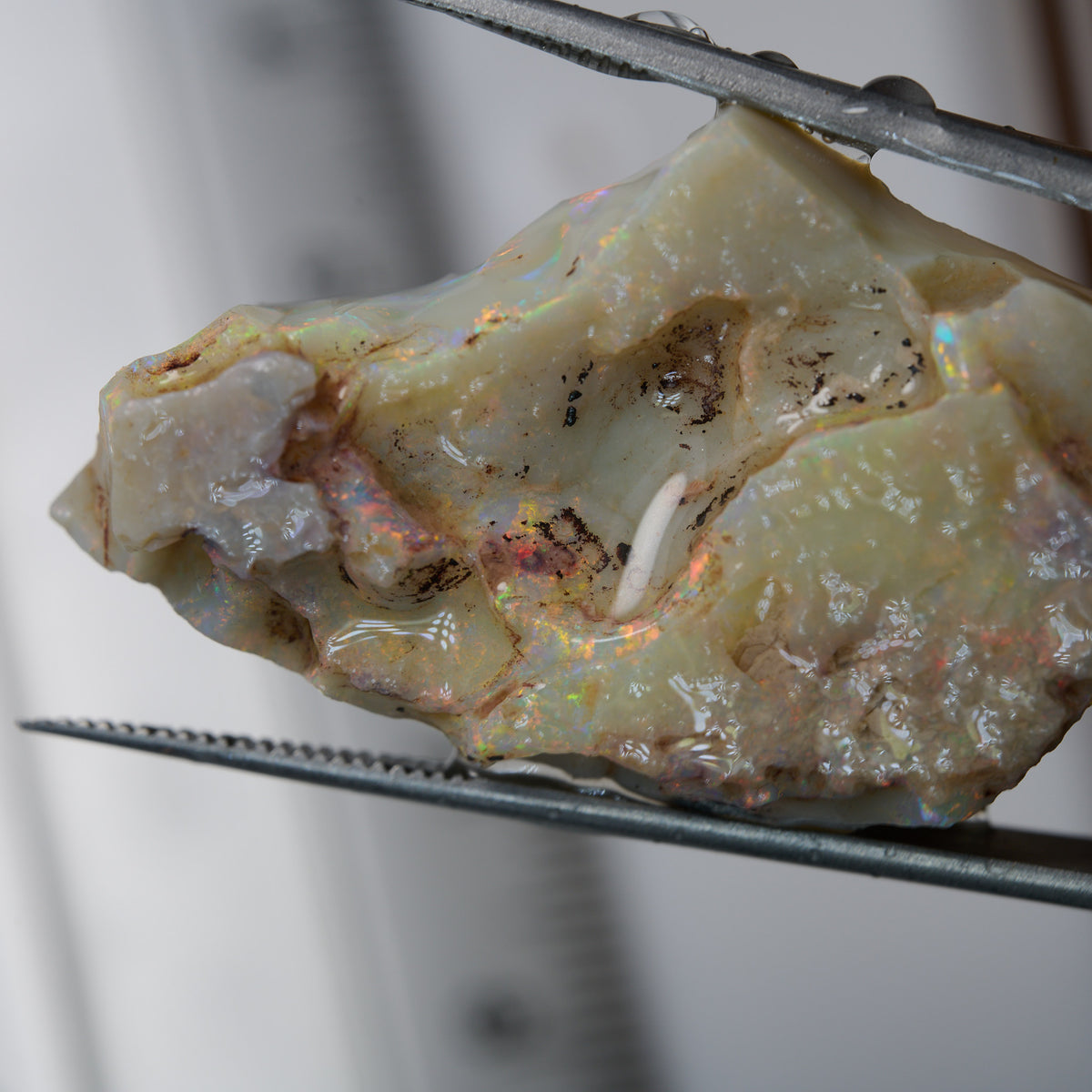 Rough Opal 