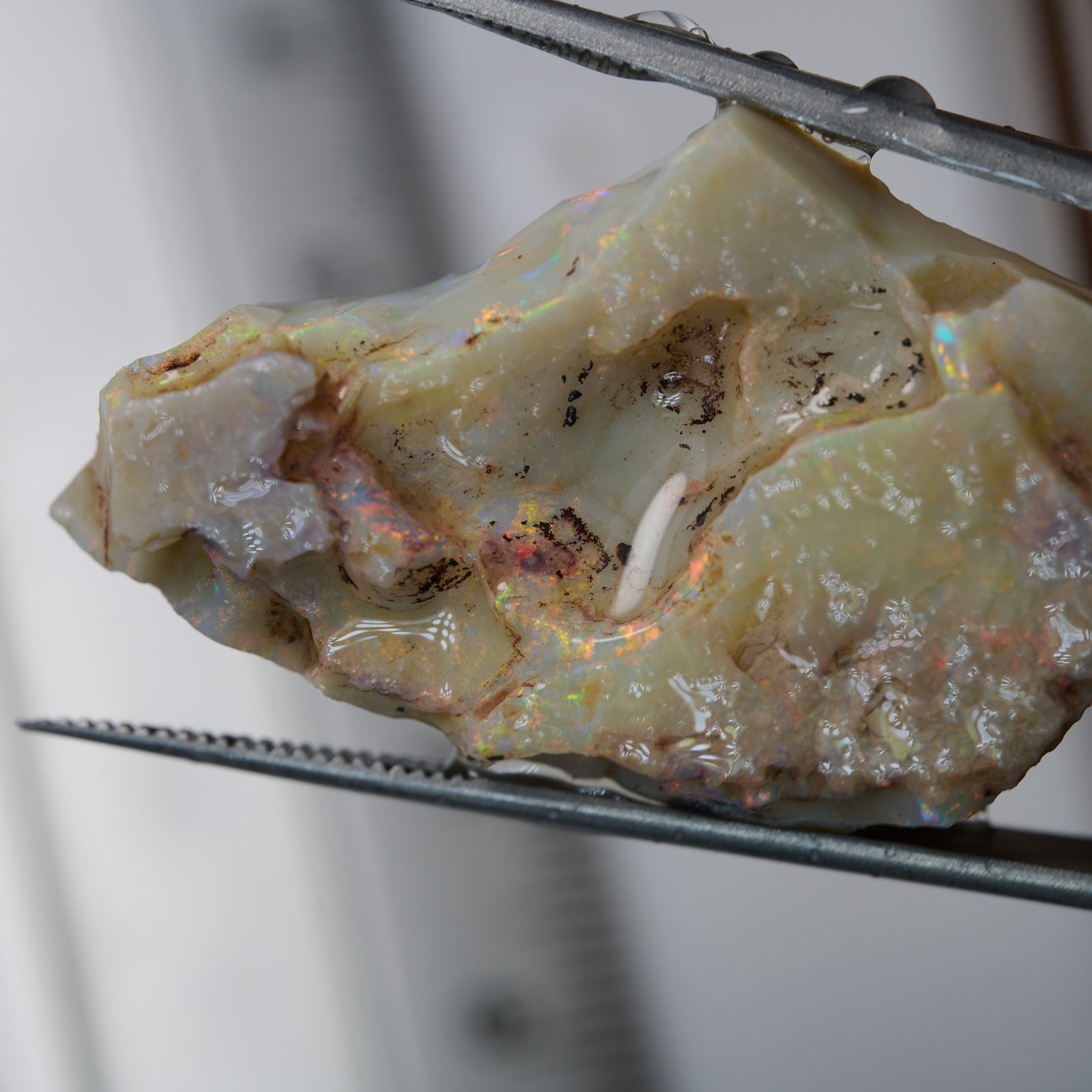 Rough Opal 