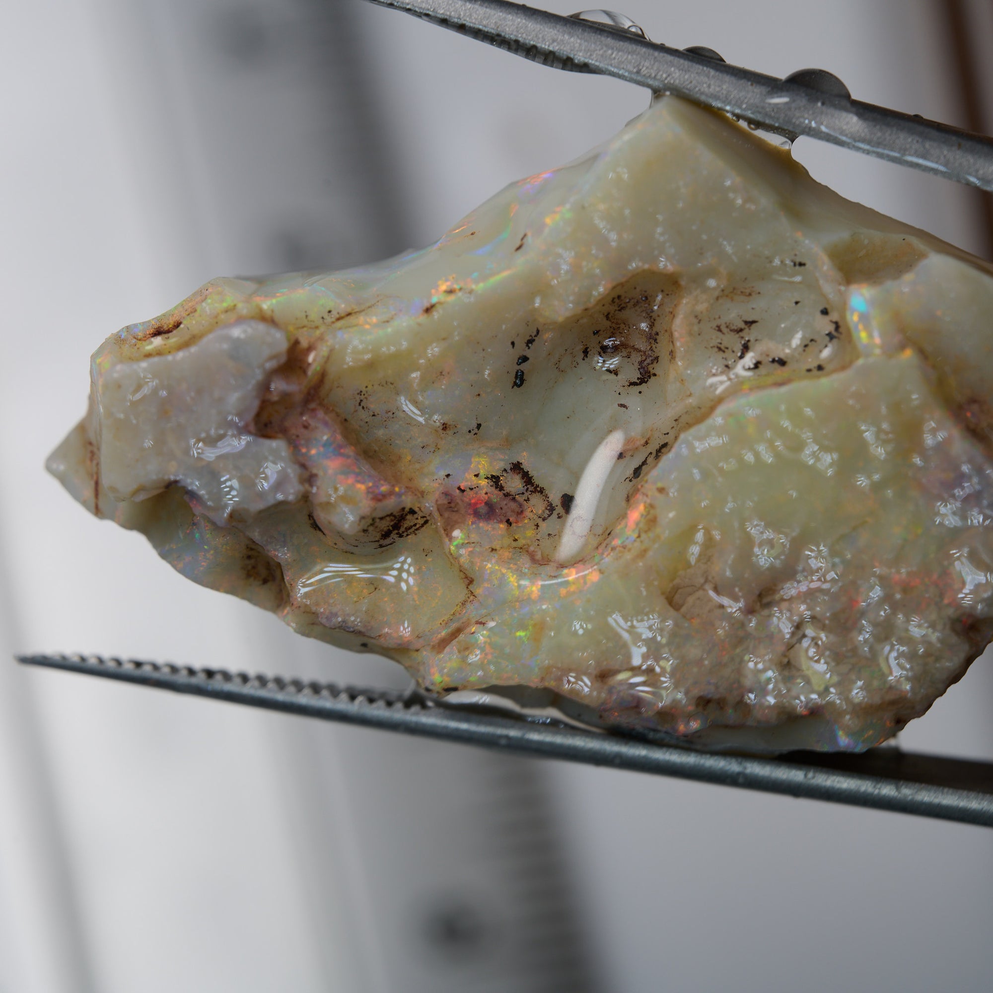 Rough Opal 