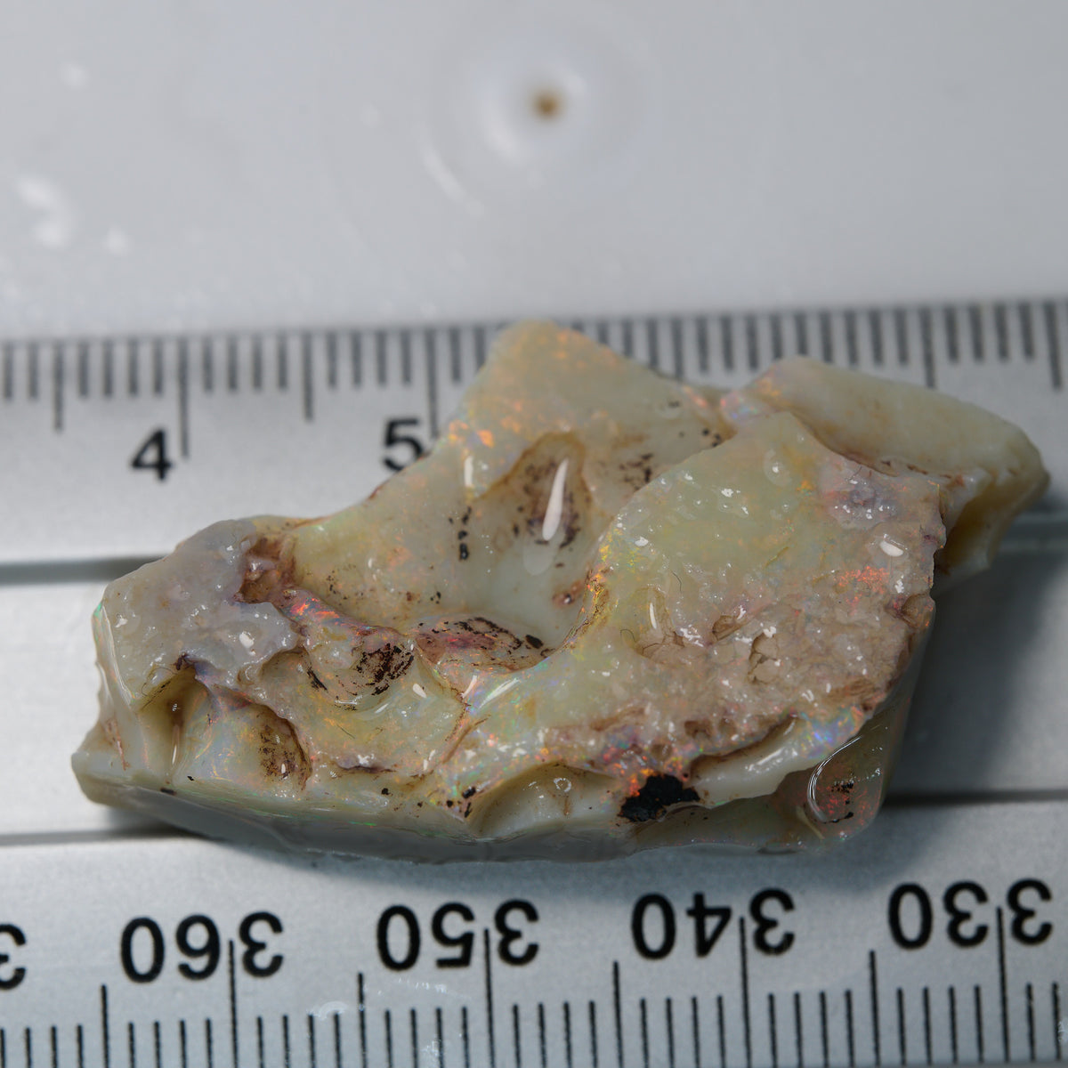 34.3 cts Rough Opal Lightning Ridge for Carving