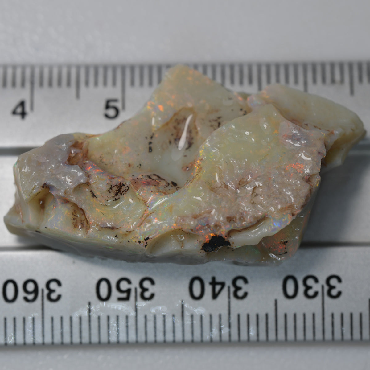 34.3 cts Rough Opal Lightning Ridge for Carving
