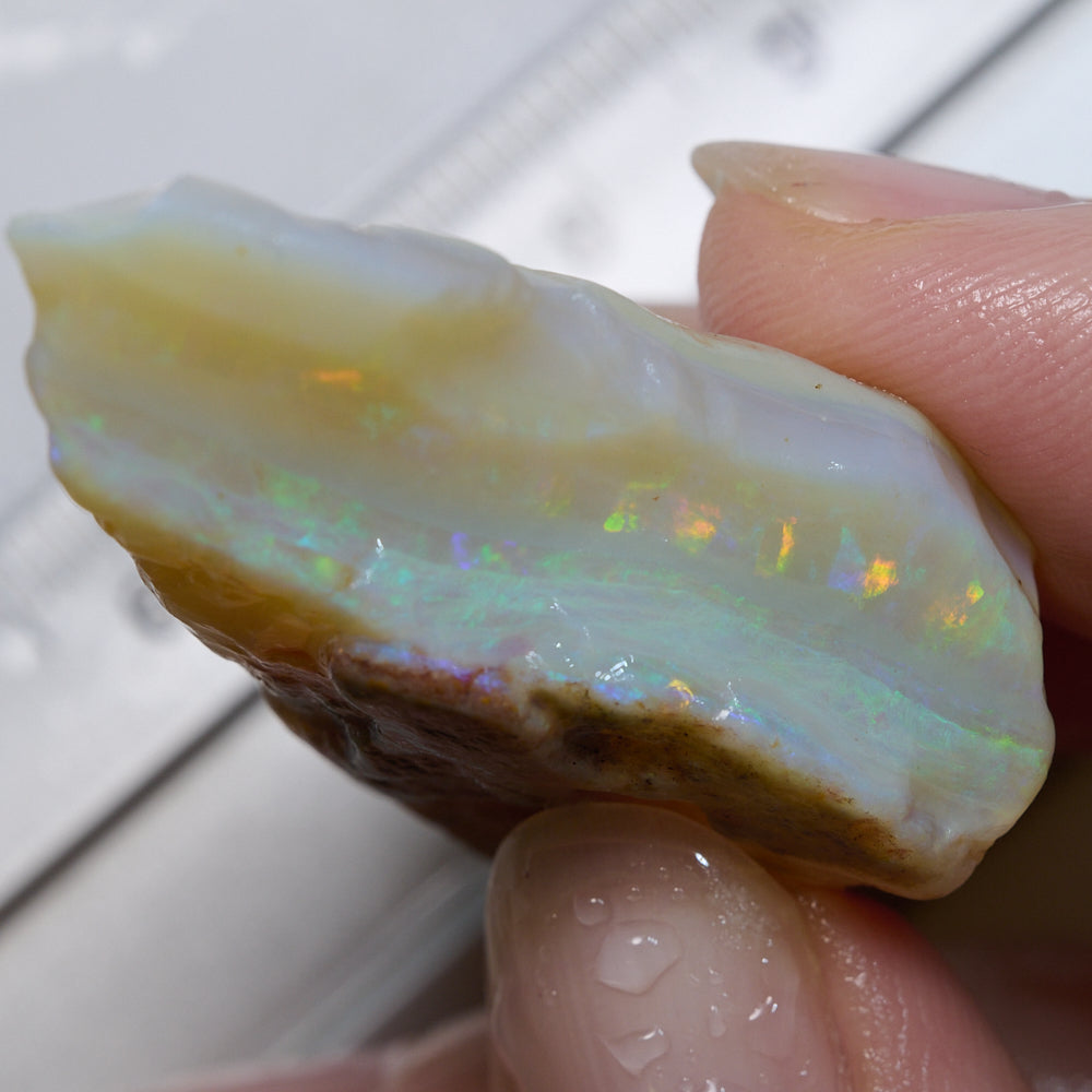 Rough South Australian Opal for Carving