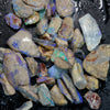 Rough Opal Lightning Ridge -Fossils