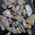 Rough Opal Lightning Ridge -Fossils