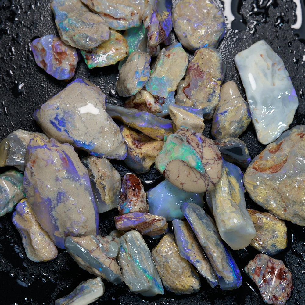 188 cts Rough Opal Lightning Ridge -Fossils