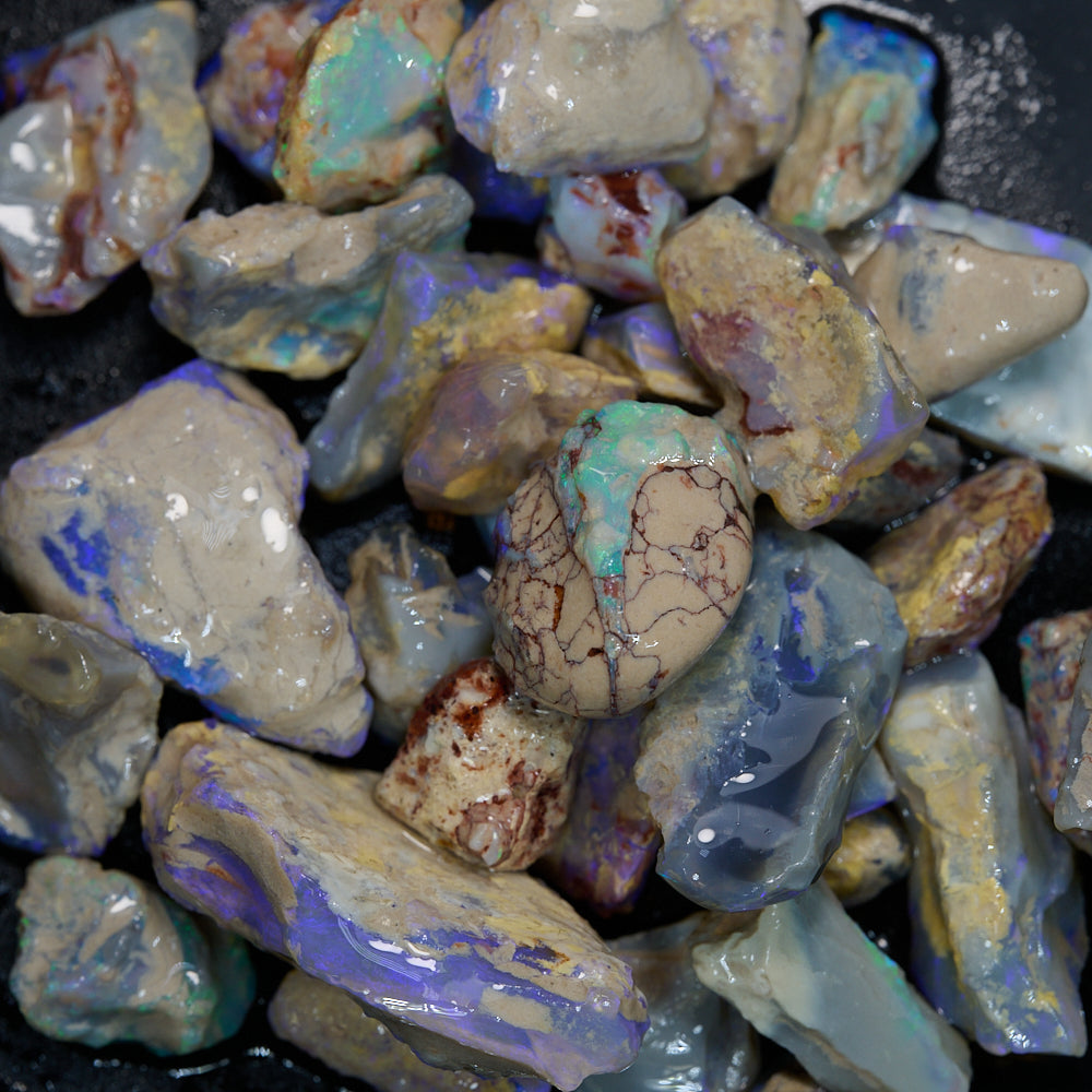 Rough Opal Lightning Ridge -Fossils