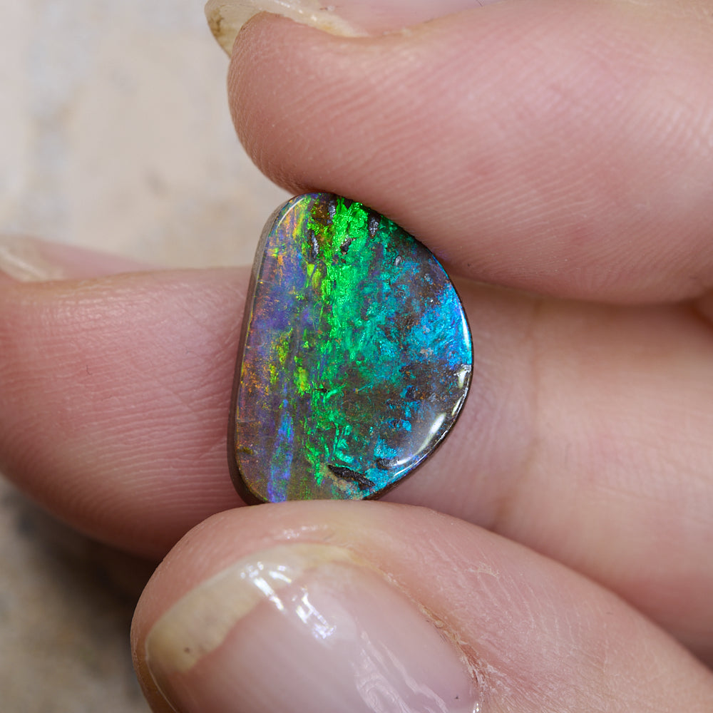 4.81 cts Boulder Opal Cut Stone
