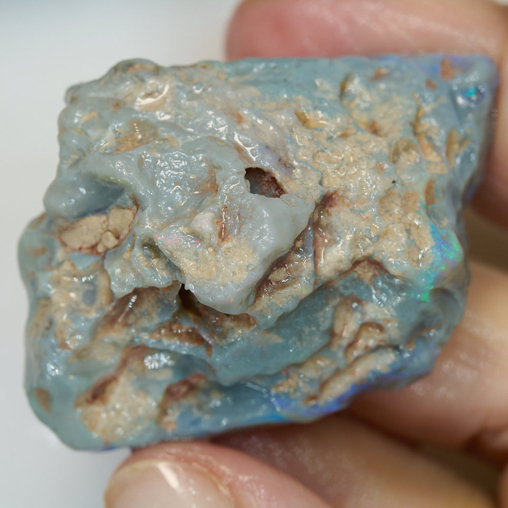 103 cts Rough Opal Lightning Ridge for Carving