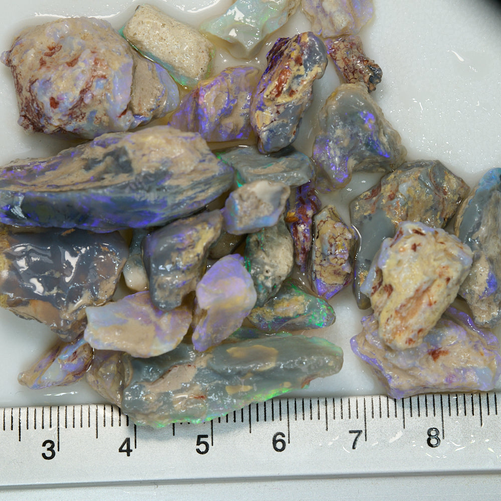 160 cts Rough Opal Lightning Ridge -Fossils