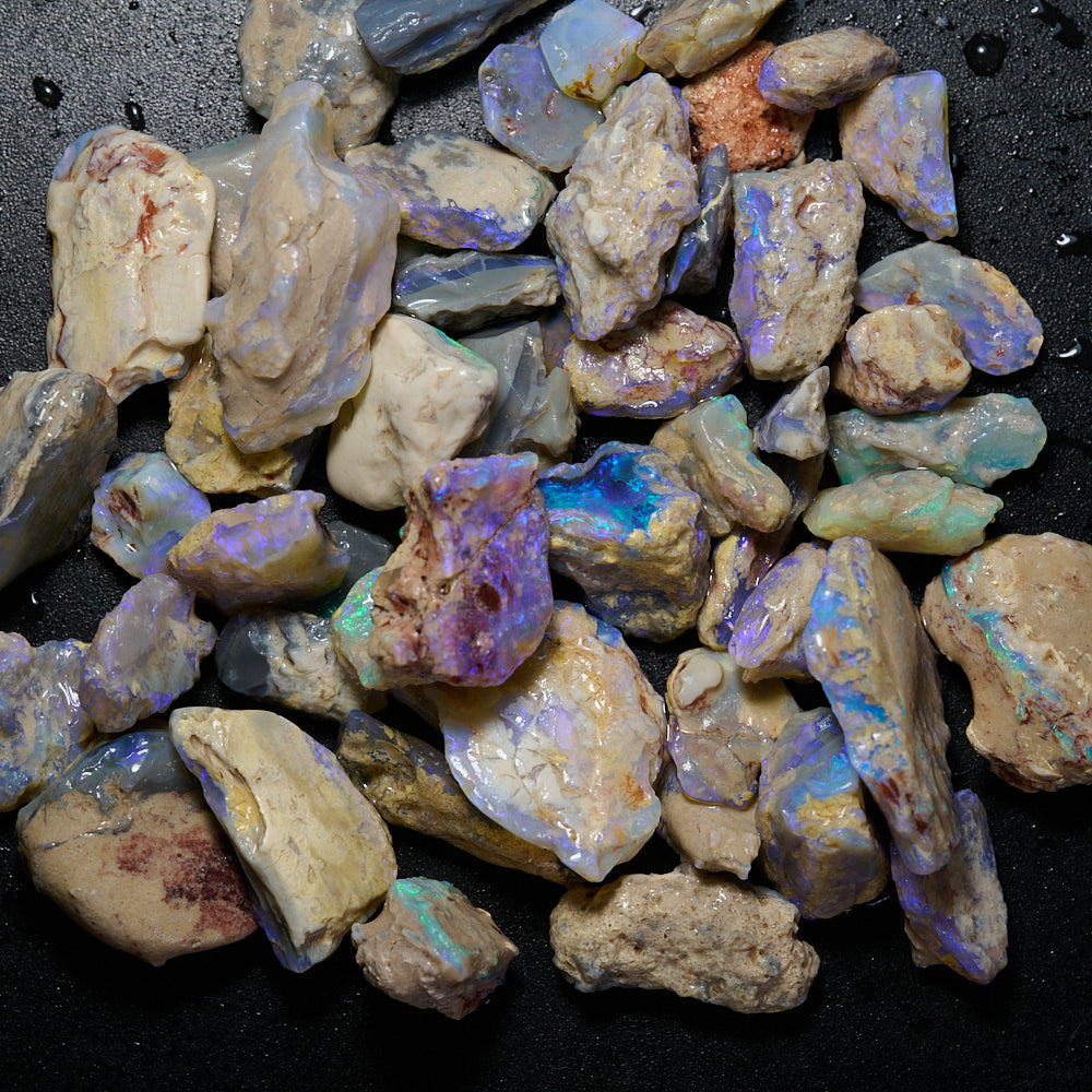 218 cts Rough Opal Lightning Ridge -Fossils
