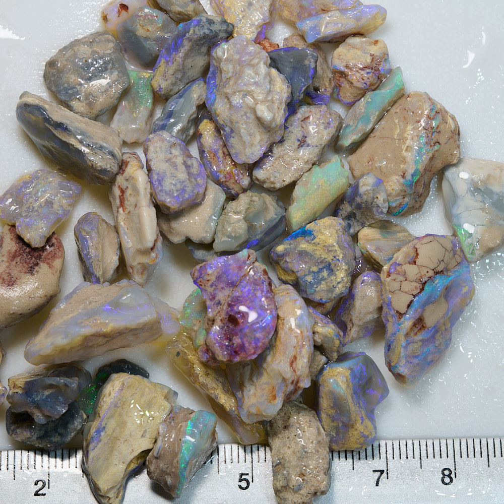 218 cts Rough Opal Lightning Ridge -Fossils