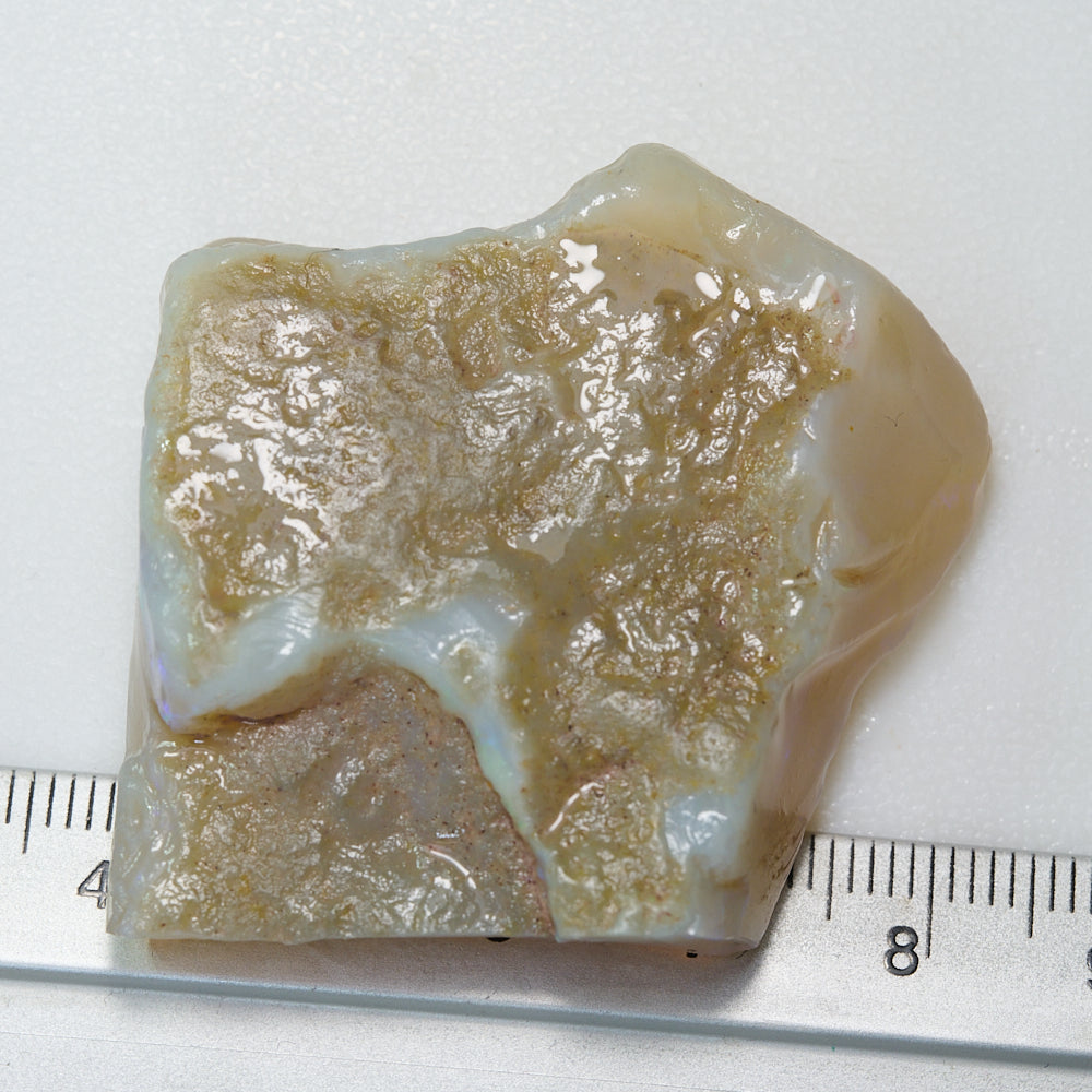 124 cts Rough Opal South Australian