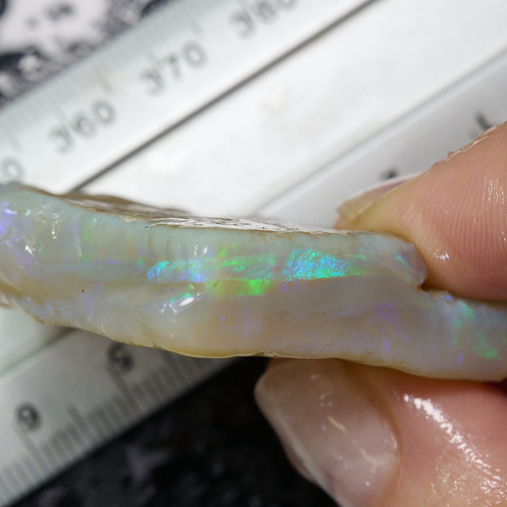 124 cts South Australian rough opal showcasing green and blue hues, held next to a ruler for size reference.