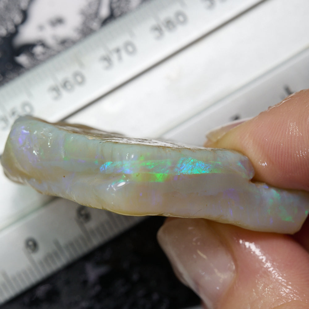 124 cts South Australian rough opal showcasing green and blue hues, held next to a ruler for size reference.