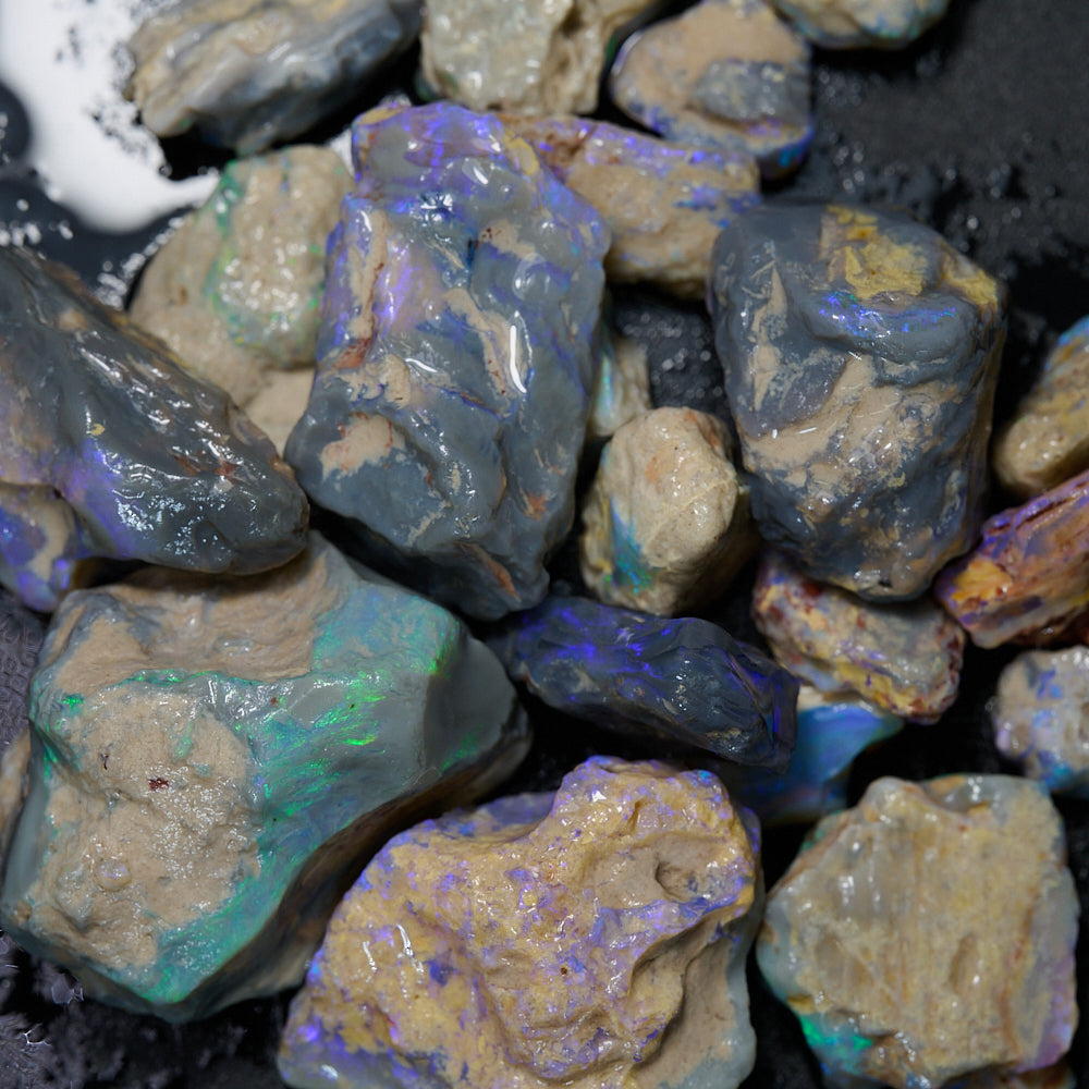 283 cts Rough Opal Lightning Ridge -Fossils
