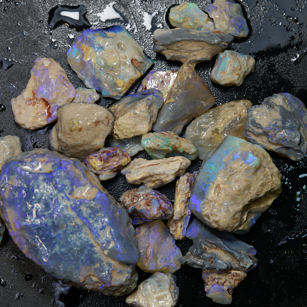 298 cts Rough Opal Lightning Ridge -Fossils