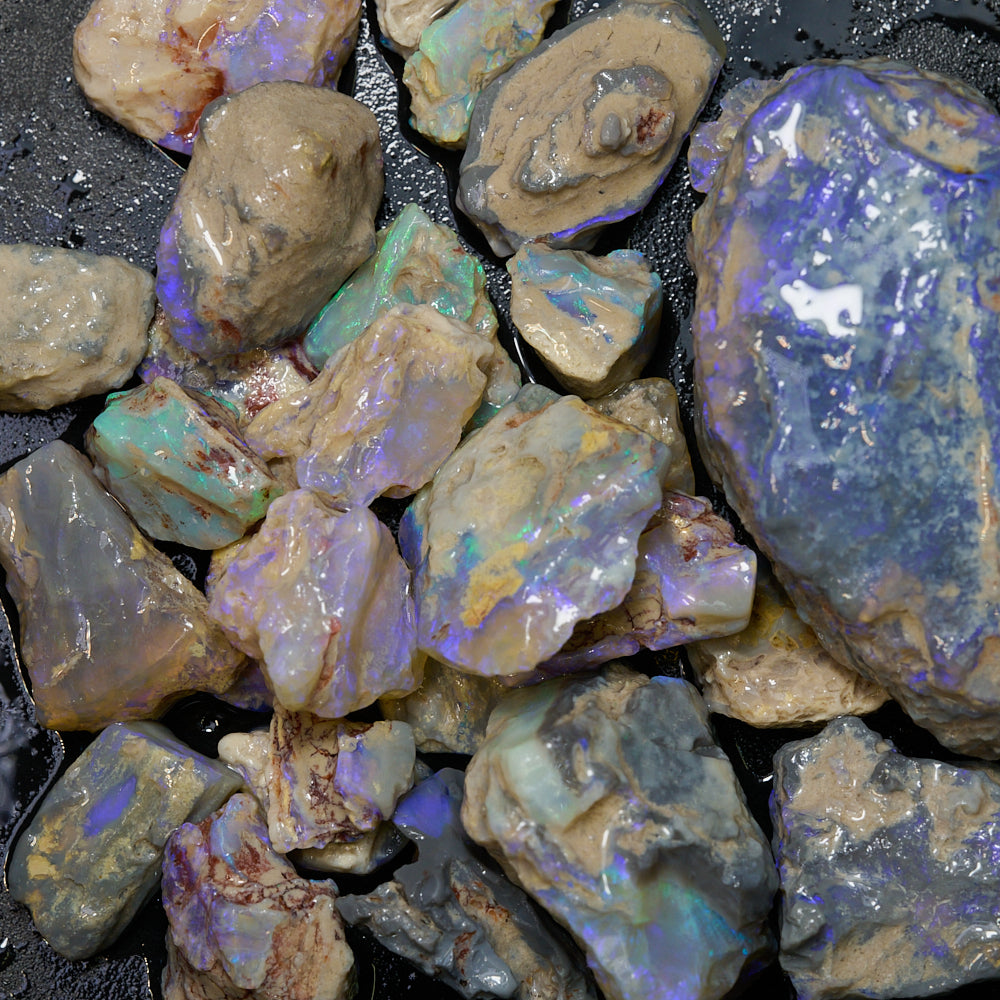 298 cts Rough Opal Lightning Ridge -Fossils
