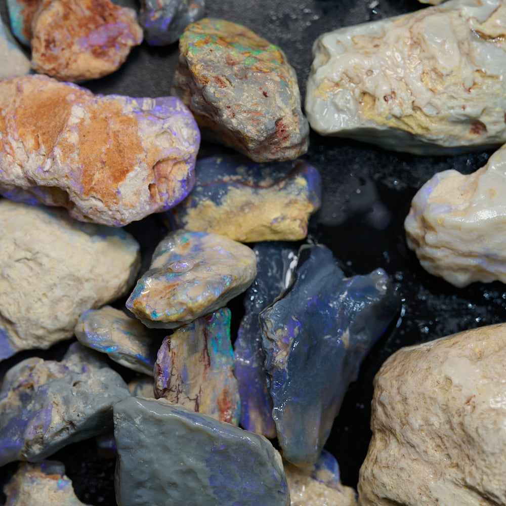 262 cts Rough Opal Lightning Ridge -Fossils