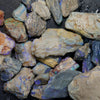262 cts Rough Opal Lightning Ridge -Fossils