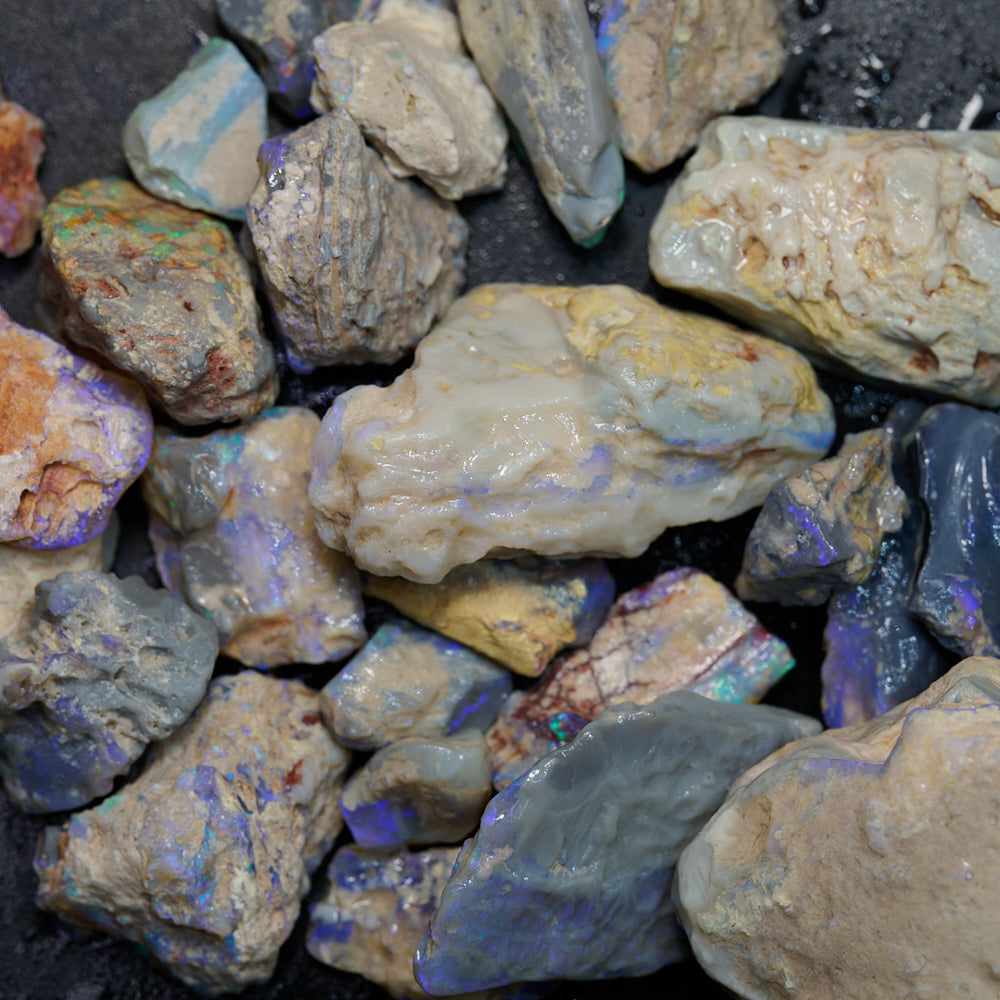 262 cts Rough Opal Lightning Ridge -Fossils