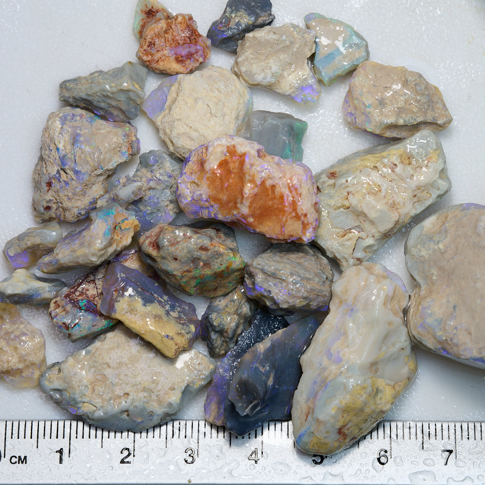 262 cts Rough Opal Lightning Ridge -Fossils