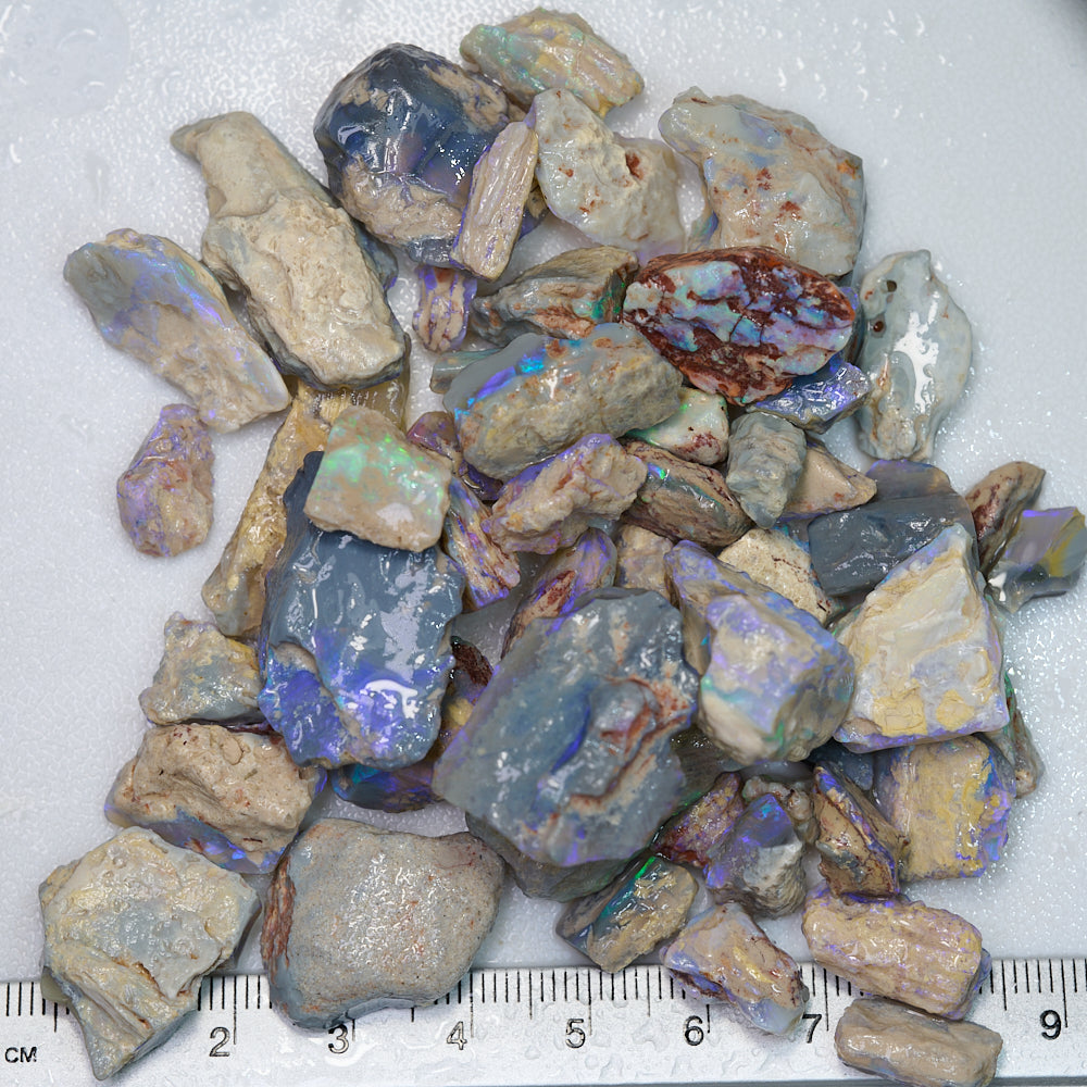 346 cts Rough Opal Lightning Ridge -Fossils