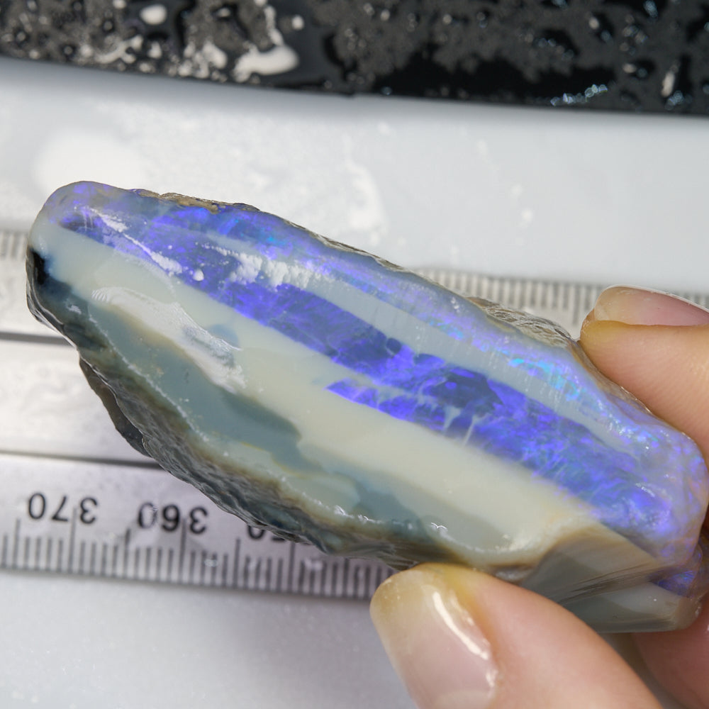 283 cts Rough Opal Lightning Ridge -Purple