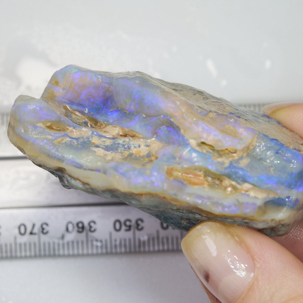 283 cts Rough Opal Lightning Ridge -Purple