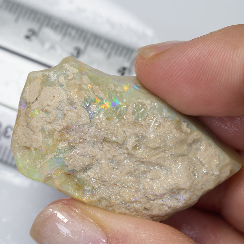 65.6 cts Rough Opal Lightning Ridge