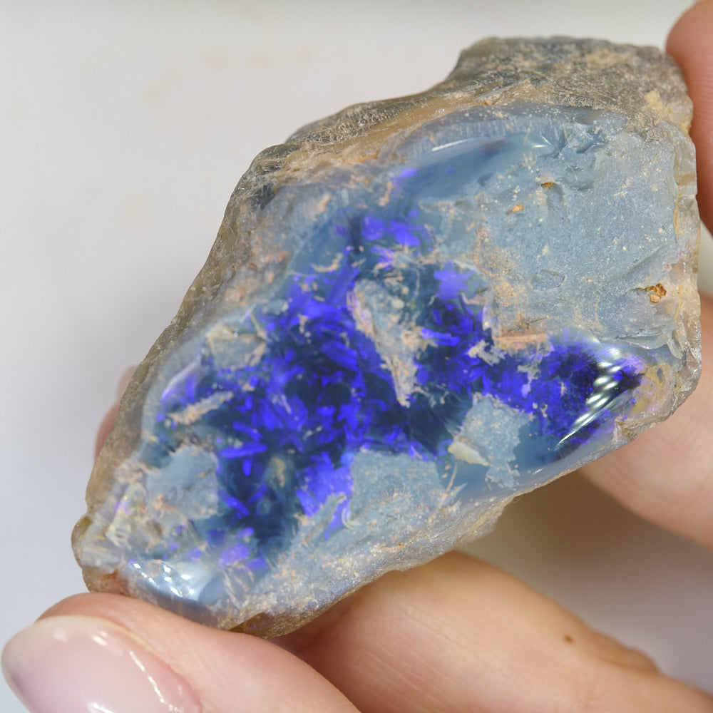 246 cts Opal Rough Lightning Ridge Specimen -Electric Blue