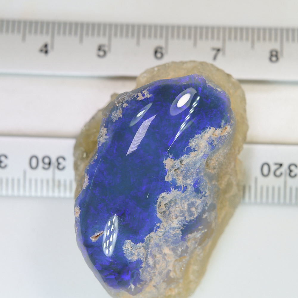 125 cts Opal Rough Lightning Ridge Specimen
