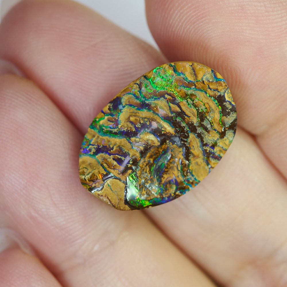 20.44 cts Boulder Opal Cut Stone